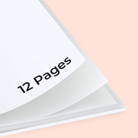 12 Pages