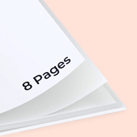 8 Pages